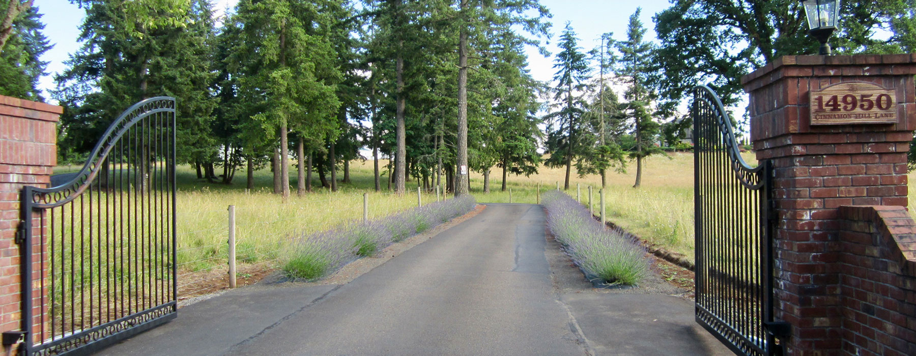 RavenCroft photo 3